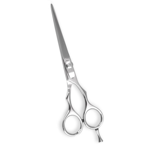 Professional Hair Cutting Scissors